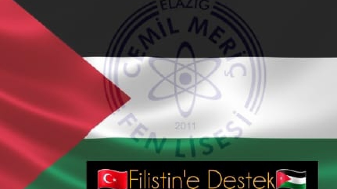 Filistin'e destek